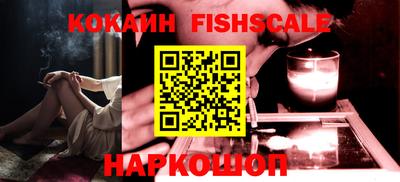индика Гай