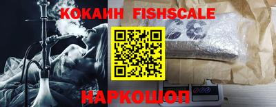индика Гай