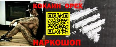 гидра Гатчина