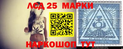 гидра Гатчина