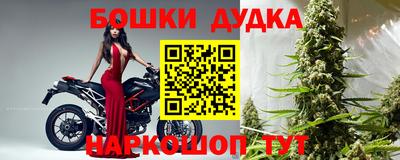 гидра Гатчина