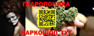 гидра Гатчина