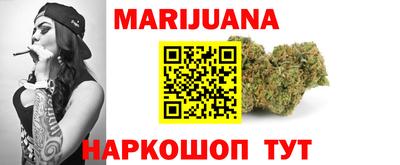 индика Гай