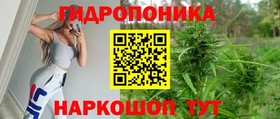 винт Гагарин