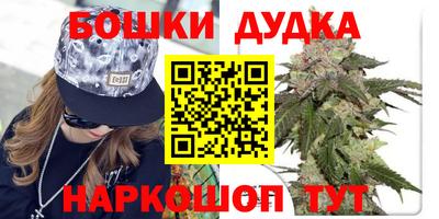 индика Гай